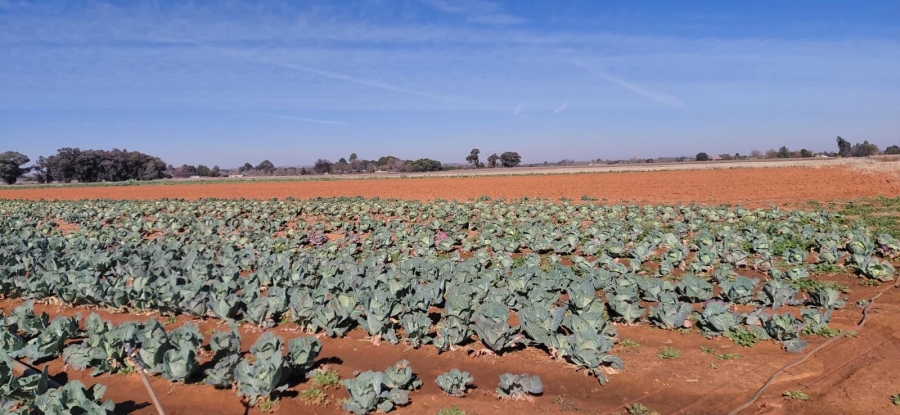 Commercial Property for Sale in Bainsvlei Free State